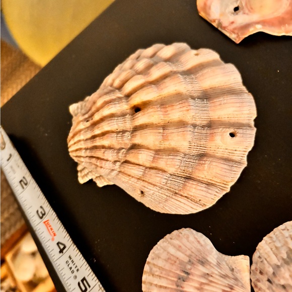 Pre-drilled fancy seashell lot of 17 pieces - Picture 2 of 4